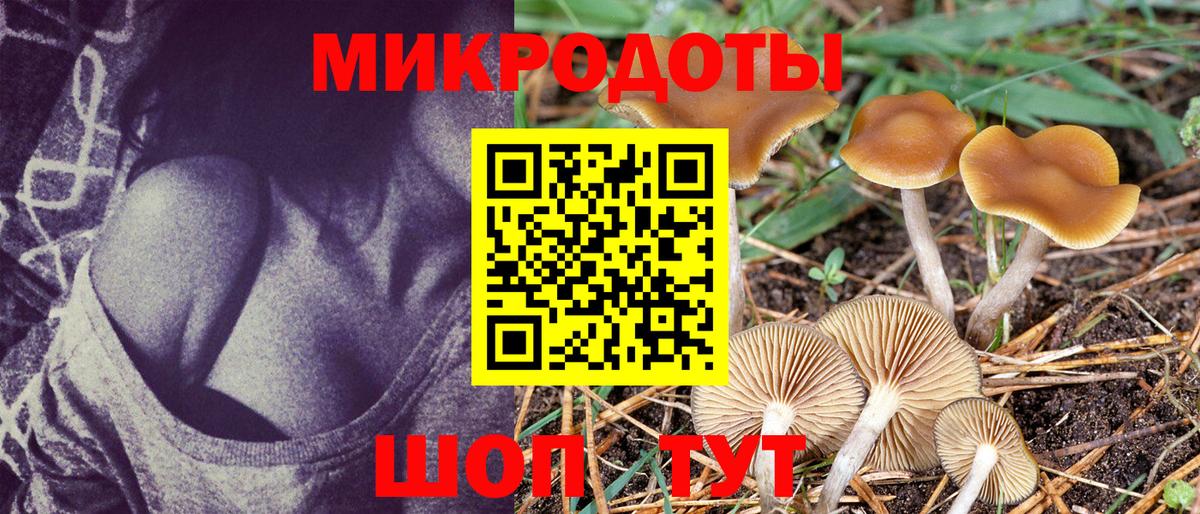 Псилоцибиновые грибы прущие грибы Джанкой